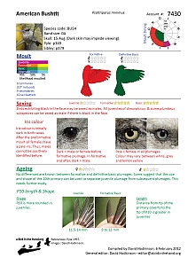 a bird in the hand species guide picture